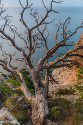 Similar image 6434863