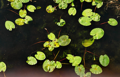 Similar image 6434891