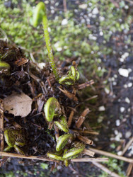 Similar image 6434917