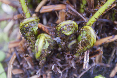 Similar image 6434918