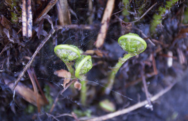 Similar image 6434919