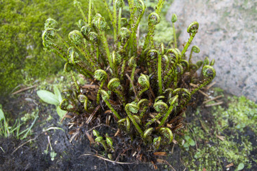 Similar image 6434920