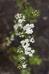 Similar image 6434921