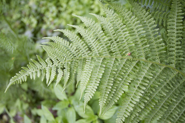 Similar image 6434922