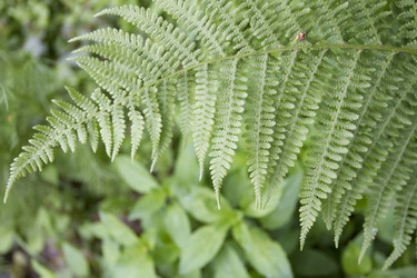 Similar image 6434923