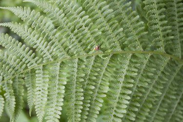 Similar image 6434924