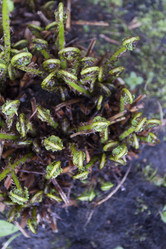 Similar image 6434926