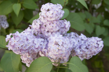 Similar image 6434927