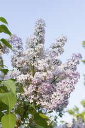 Similar image 6434928