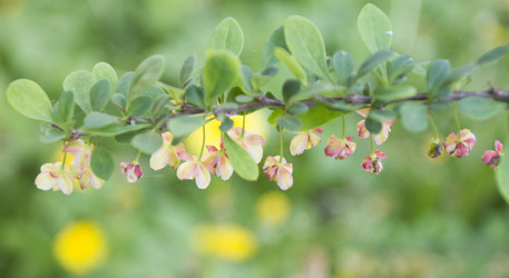 Similar image 6434930