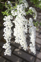 Similar image 6434931