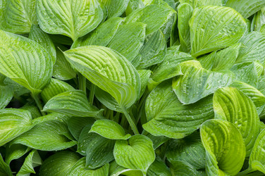 Similar image 6434947