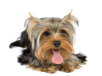 Similar image 6434952