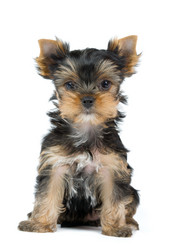 Similar image 6434955