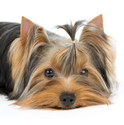 Similar image 6434968