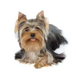 Similar image 6434969