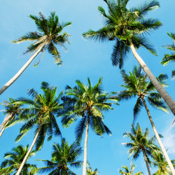 Similar image 6434973