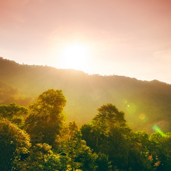 Similar image 6434974