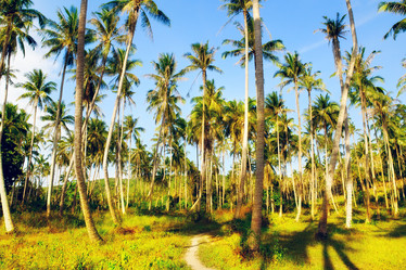 Similar image 6435040