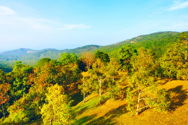 Similar image 6435041