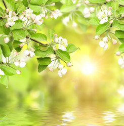 Similar image 6435195