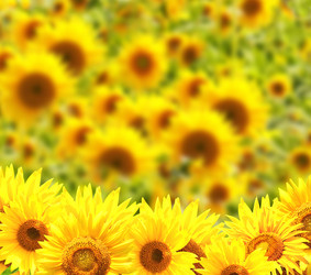 Similar image 6435199