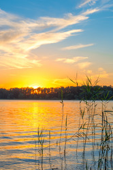 Similar image 6435220