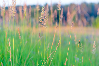 Similar image 6435242