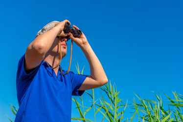 Similar image 6435246