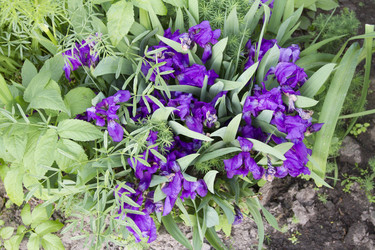 Similar image 6435706