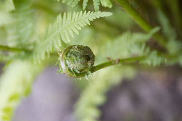 Similar image 6435707