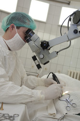 Similar image 6436834