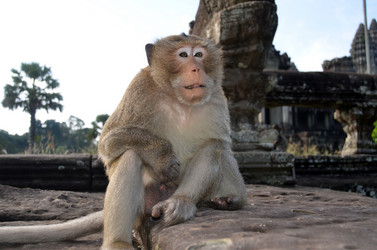 Similar image 6436845