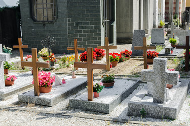 Similar image 6437216