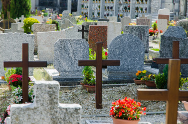 Similar image 6437219