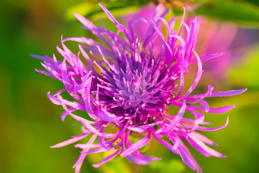 Similar image 6437516