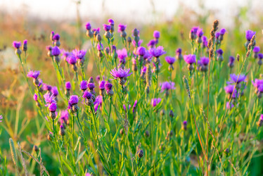 Similar image 6437521