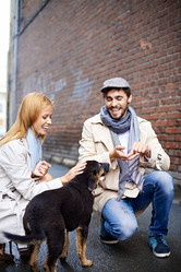 Similar image 6437554