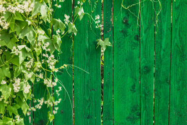 Similar image 6440425