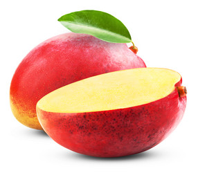 Similar image 6440439