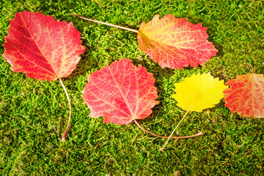 Similar image 6440458