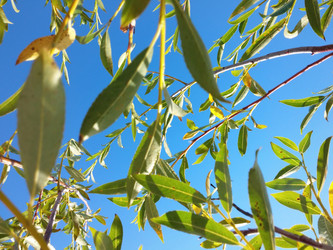 Similar image 6440480