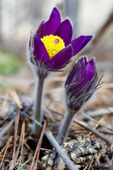 Similar image 6440491