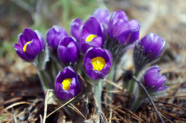 Similar image 6440492