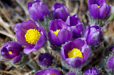 Similar image 6440494