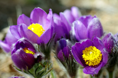 Similar image 6440496