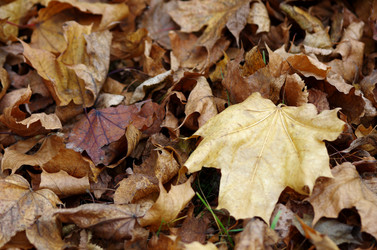 Similar image 6440497