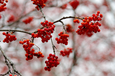 Similar image 6440498