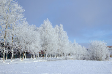 Similar image 6440511