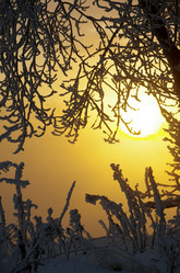 Similar image 6440512